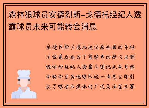 森林狼球员安德烈斯-戈德托经纪人透露球员未来可能转会消息