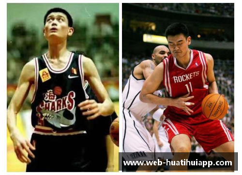 hth华体会NBA球员伤病情况分析与健康管理探讨